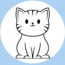 All About The Cats in Bridgeport, CT